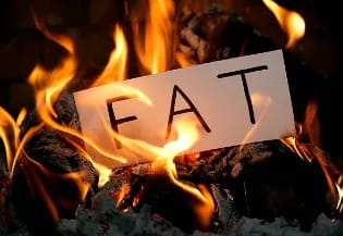 fat